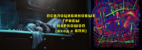 молекула духа Михайлов