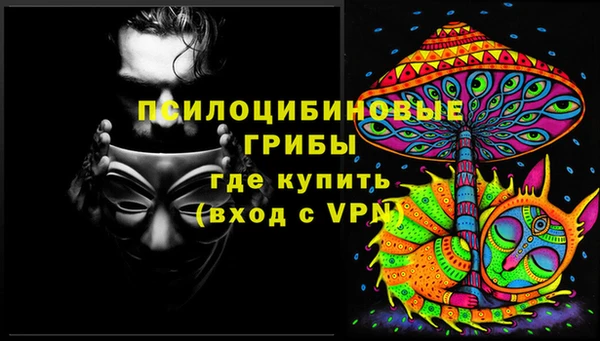 молекула духа Михайлов