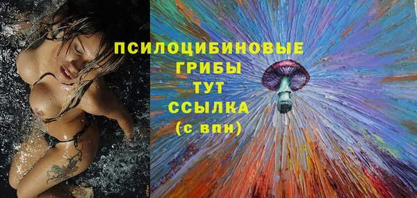 молекула духа Михайлов