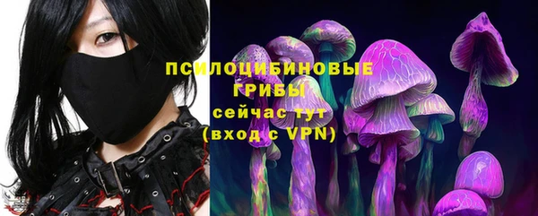 молекула духа Михайлов