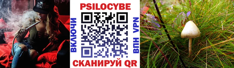 Псилоцибиновые грибы мухоморы  Купить  Аргун 