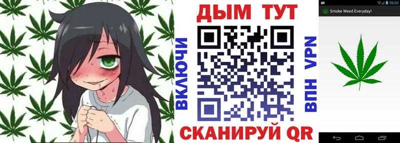 Купить где  Аргун  Канабис тримм 